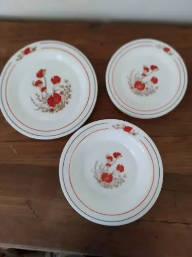 12 ASSIETTES FLEURS COQUELICOTS 15114 ARCOPAL 4 x plates creuses desserts