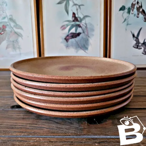 12 assiettes Sarreguemines en grès de Bourgogne 24cm (réservées Fabienne C)