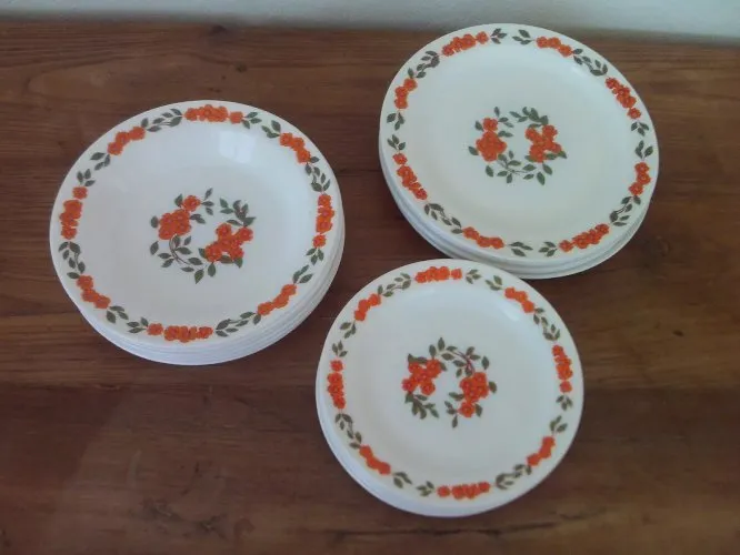18 ASSIETTES FLEURS ORANGE  8114 ARCOPAL 6 x plates creuses desserts
