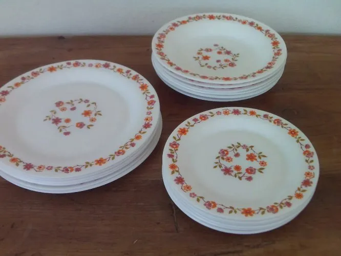 18 ASSIETTES FLEURS ORANGE SCANIA  3114 ARCOPAL 6 x plates creuses desserts