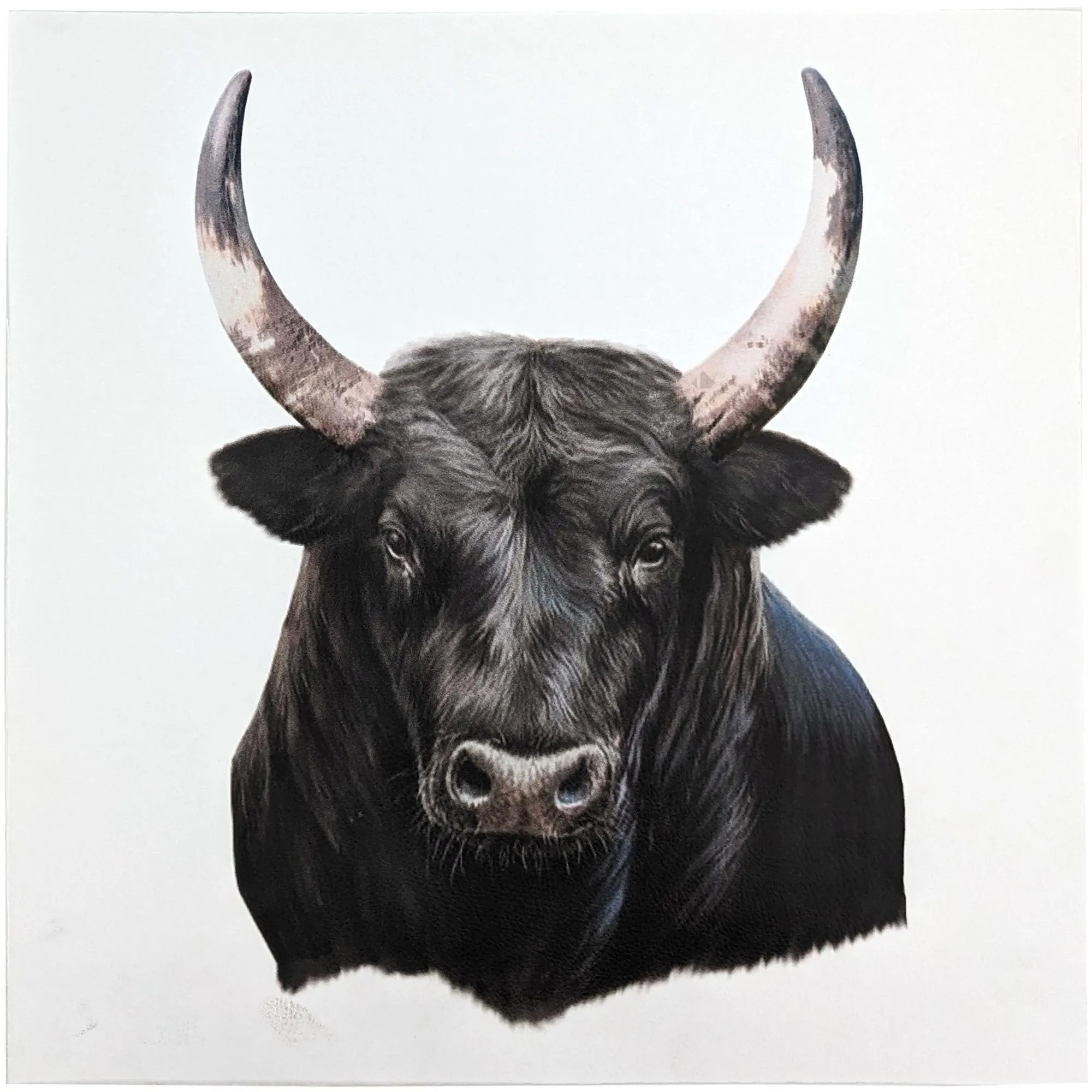 Carré de tissu similicuir 44x44 cm KARIA taureau blanc