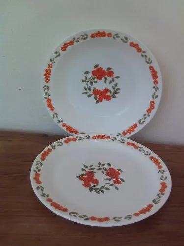 2 PLATS RONDS FLEURS ORANGE 12114 ARCOPAL FRANCE