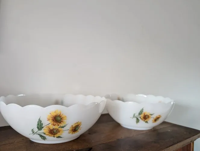 2 saladiers opaline en très bon état.