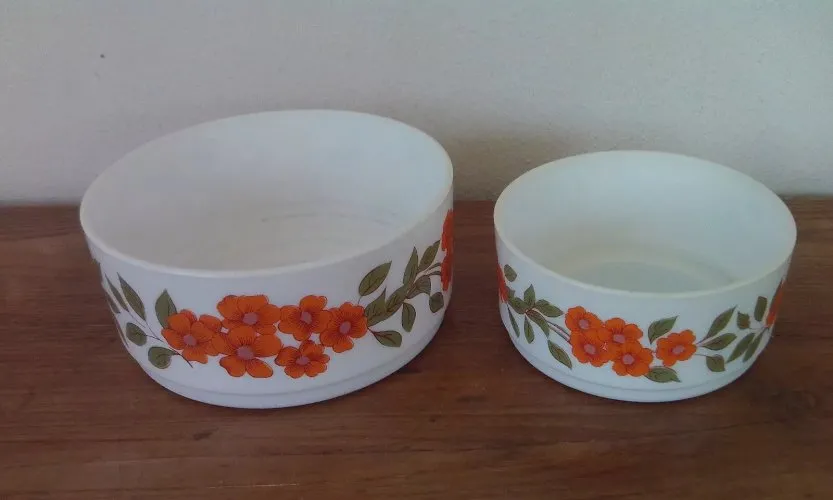2 SALADIERS RONDS FLEURS ORANGE 13114 ARCOPAL FRANCE