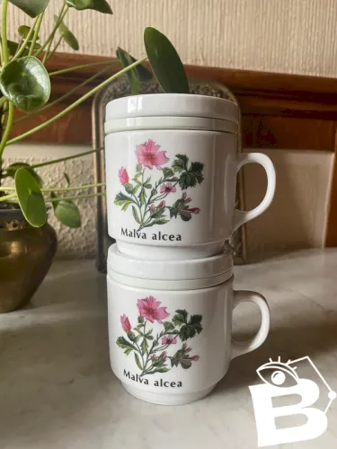 2 tisanières en porcelaine Bavaria