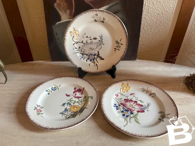 3 assiettes « Strasbourg » 19ème