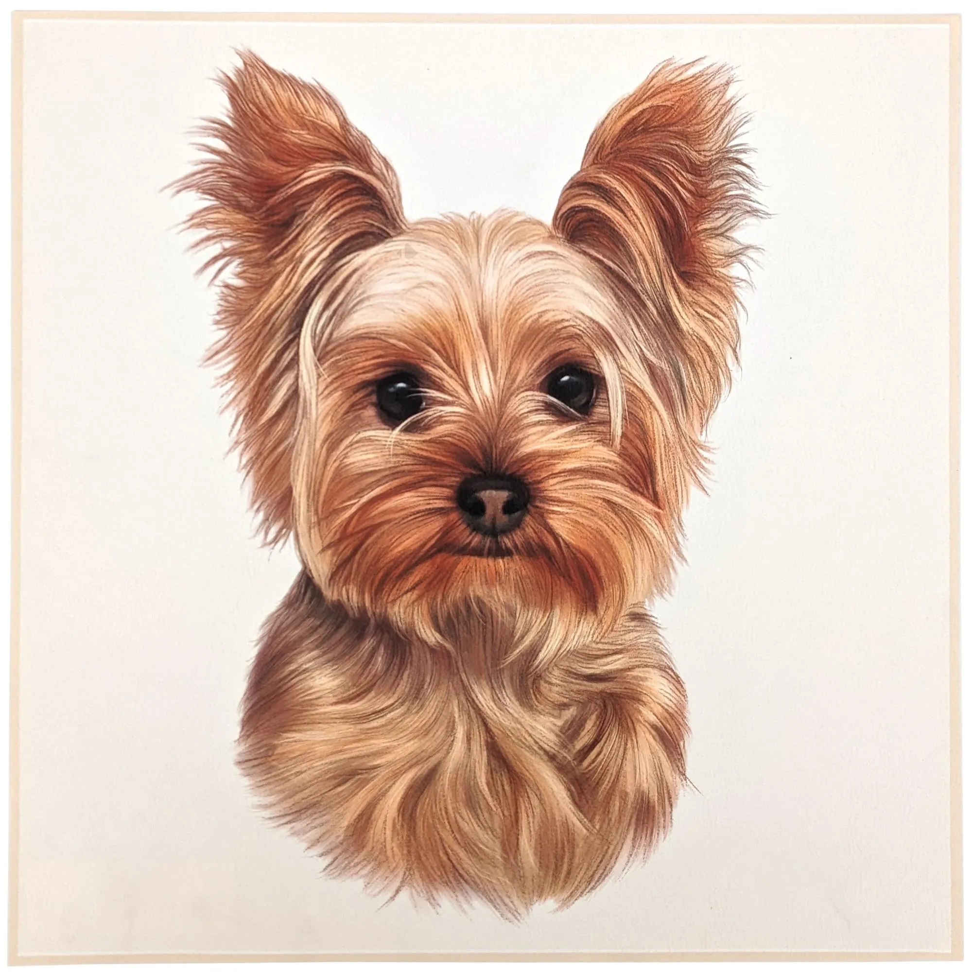 Carré de tissu similicuir 44x44 cm KARIA yorkshire