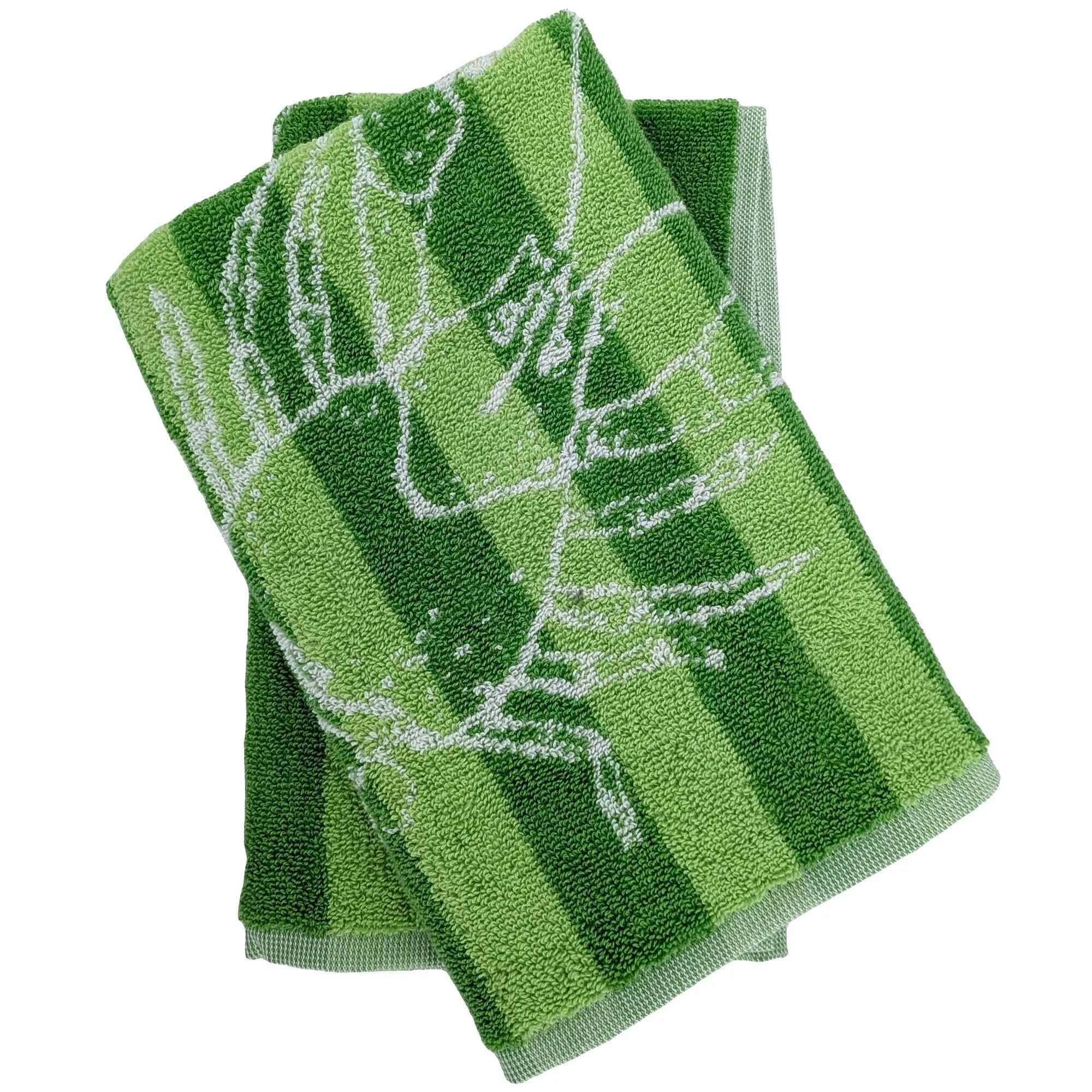 Lot de 2 torchons de cuisine éponge 50x50 cm collection SEAFOOD vert