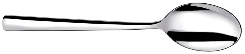 CUILLERE DE TABLE
HAVANE 20,5CM EN INOX