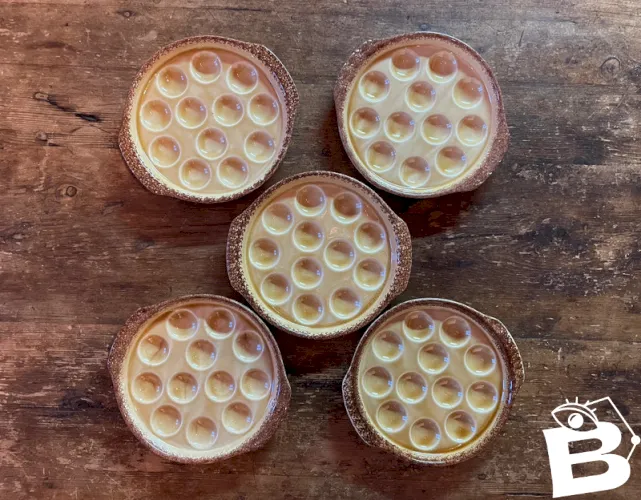 5 assiettes vintage pour escargots Gien
