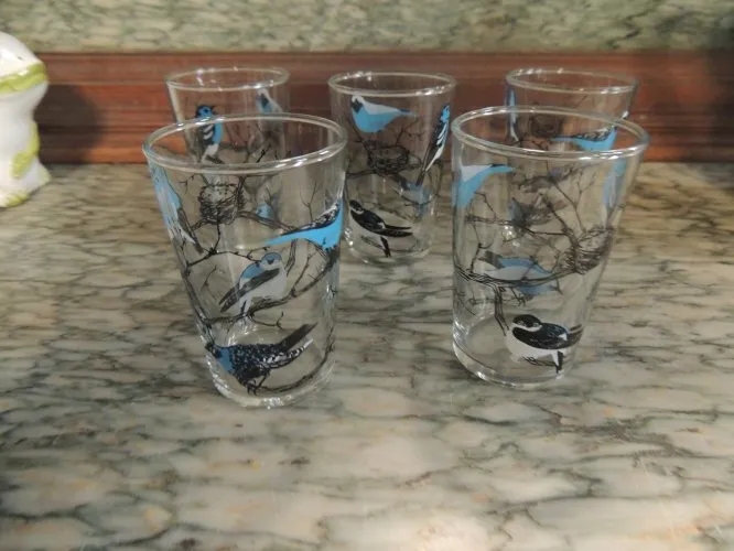 5 verres avec motif d'oiseaux bleus