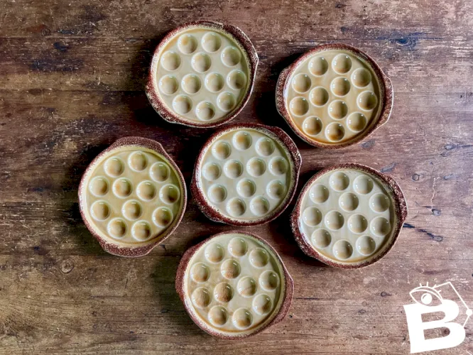 6 assiettes à escargots Gien