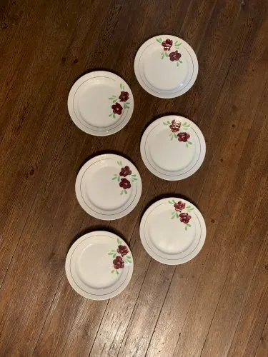 6 assiettes anciennes annees 50 Salins modèle Ninon