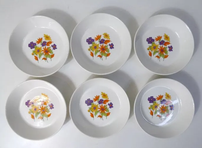 6 assiettes en faïence fleurie orange W.Germany vintage