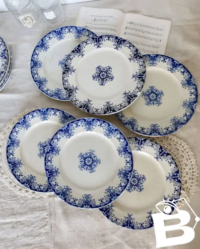 6 assiettes plates antiques faïence Bordeaux (Jules Vieillard) et Longwy