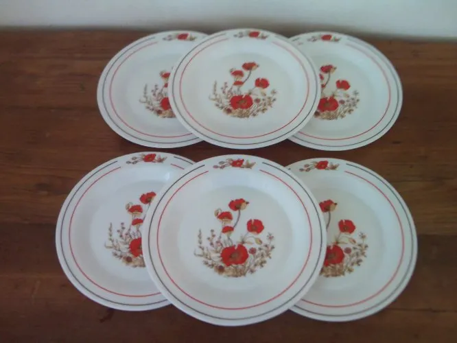 6 ASSIETTES PLATES COQUELICOTS FLEURS 6114 ARCOPAL FRANCE
