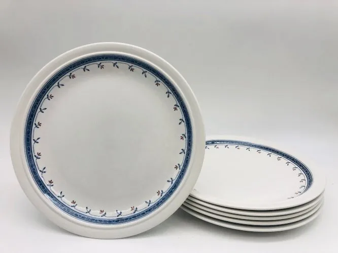 6 Assiettes plates en terre de fer.