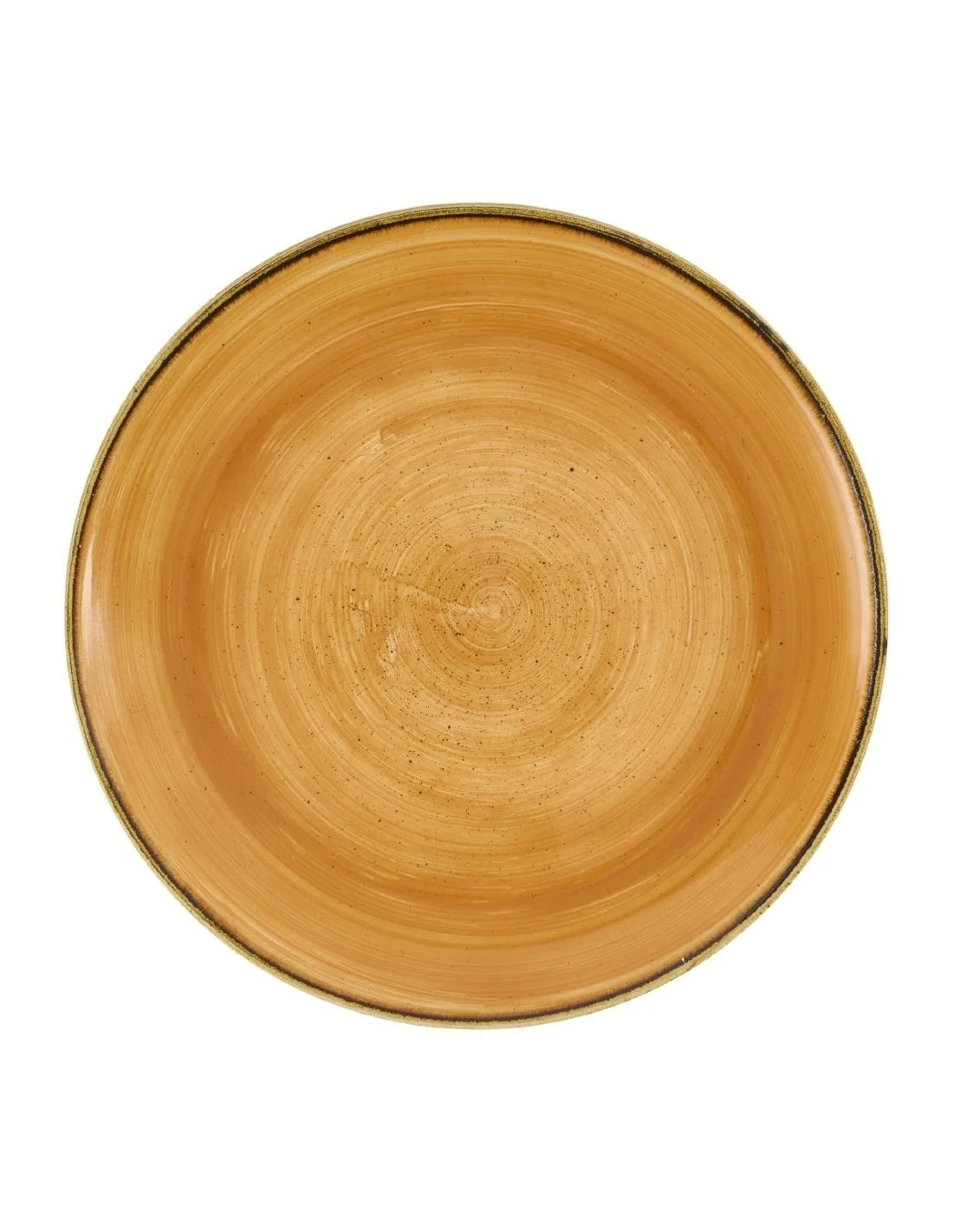 Assiettes avec rebord Churchill Stonecast Tangerine 260mm (Lot de 12)