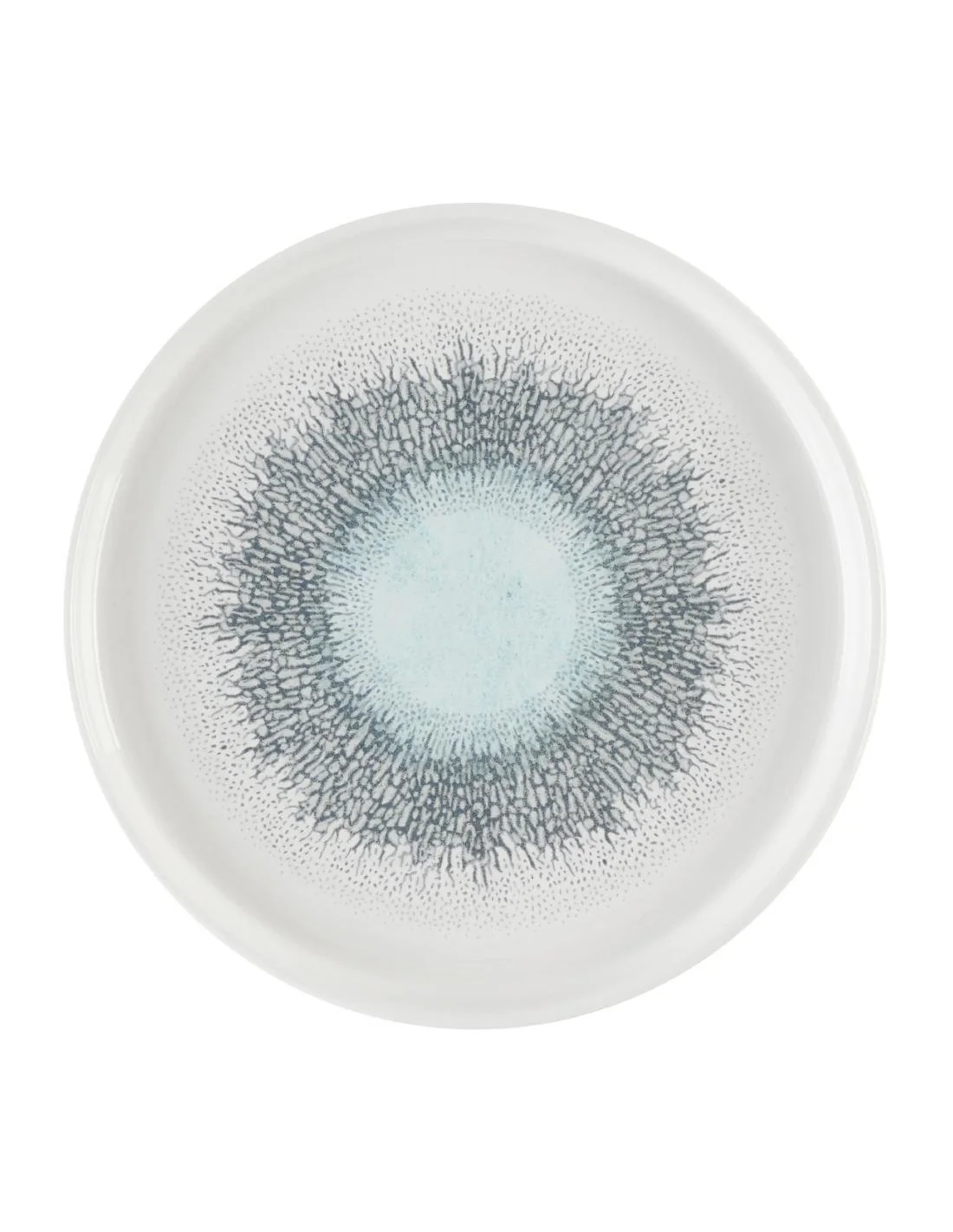 Assiettes avec rebord Churchill Studio Prints Fusion Aquamarine 210mm (Lot de 6)