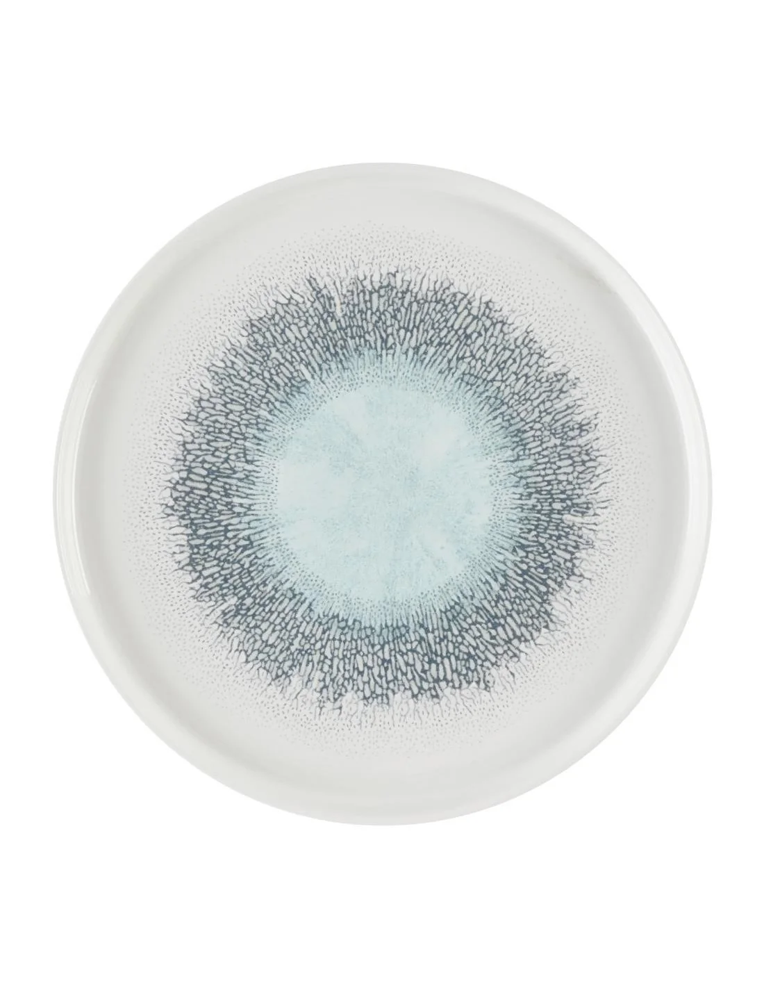 Assiettes avec rebord Churchill Studio Prints Fusion Aquamarine 260mm (Lot de 6)