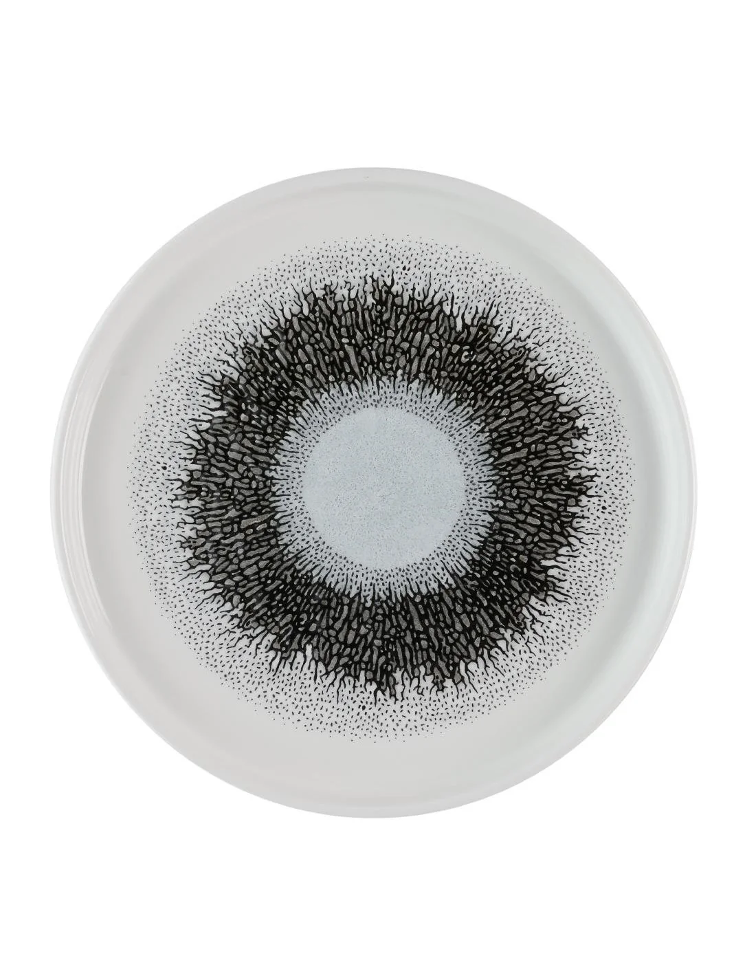 Assiettes avec rebord Churchill Studio Prints Fusion Black 210mm (Lot de 6)