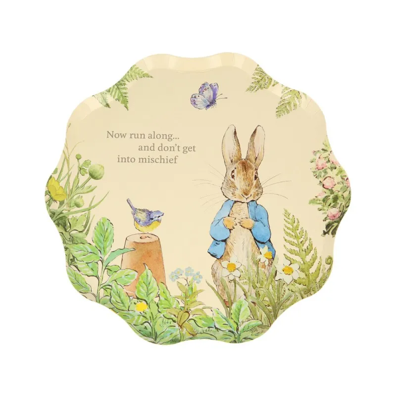 assiettes meri meri papier peter rabbit and friends