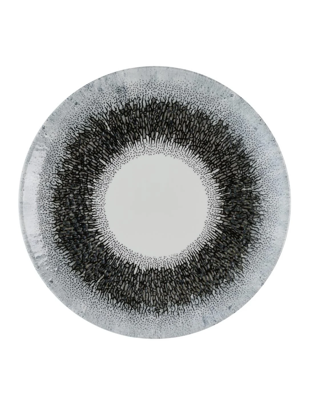 Assiettes rondes Churchill Studio Prints Fusion Black Evolve 220mm (Lot de 12)