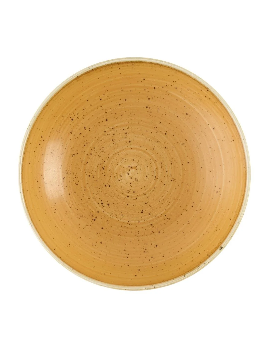 Bols Churchill Stonecast Tangerine 182mm (Lot de 12)