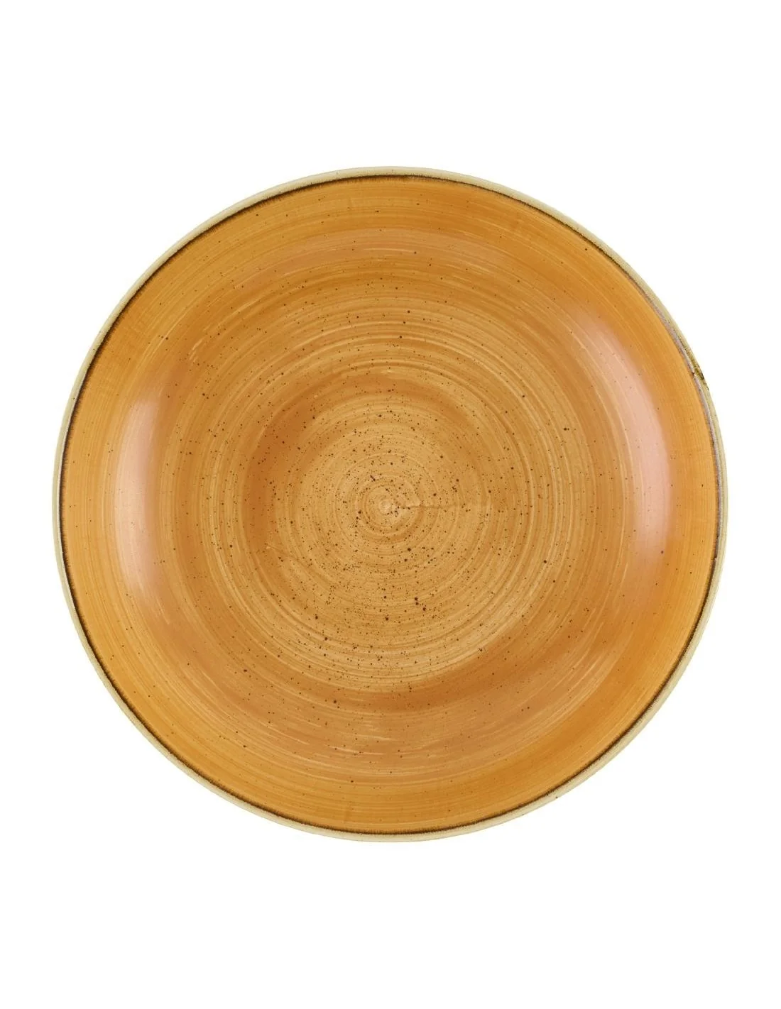 Bols Churchill Stonecast Tangerine 248mm (Lot de 12)