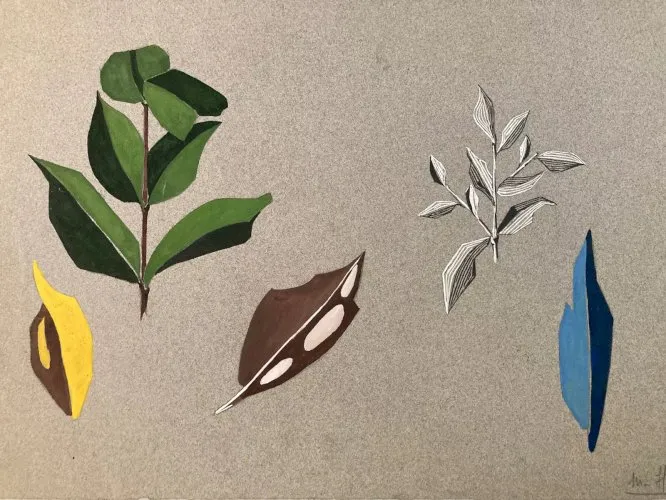 Dessin Original Art Nouveau Gouache Feuille 1960 Déco Plante Art XXe