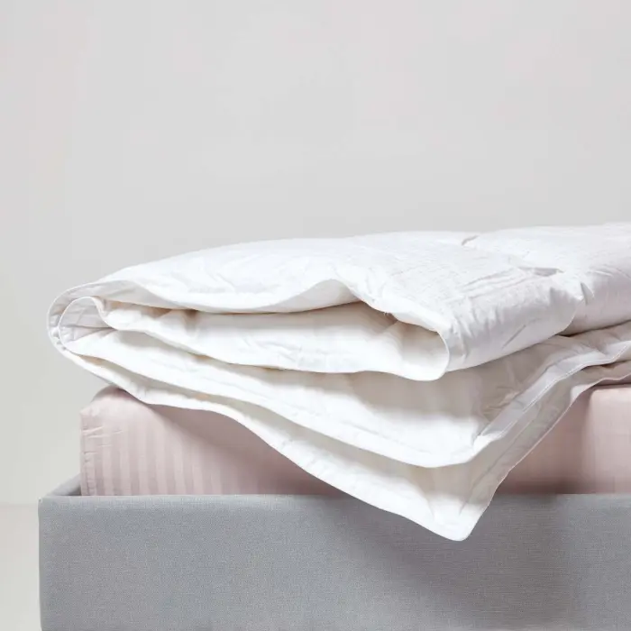 Couette Premium légère spéciale été en duvet d’oie - 200 x 200 cm