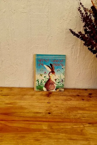 Livre " Lapinot cherche une maison "