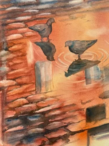 Peinture Aquarelle Pigeon Oiseau Flaque Pluie Eau Papier 1960 A Identifier