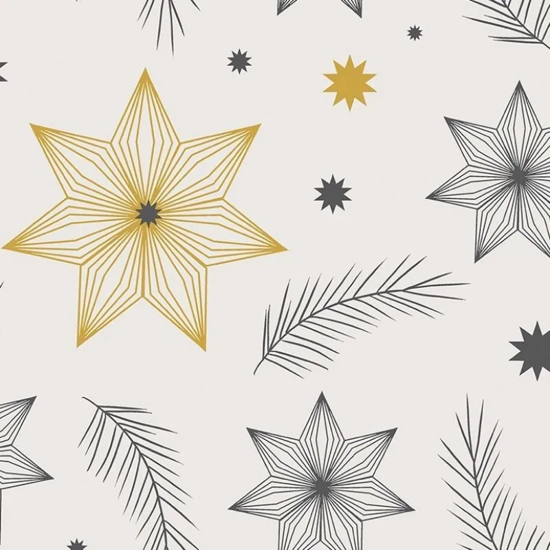 Tissu Demi Natte Northstar Anthracite